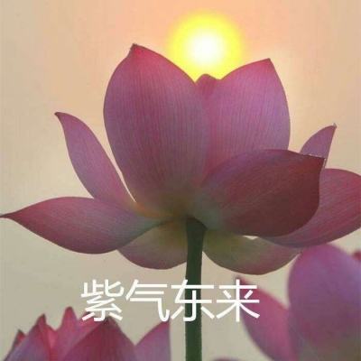 天天地下城手游下载